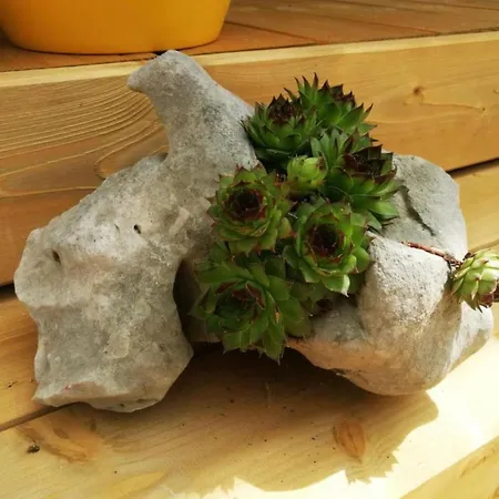 Mobile Nensi Two Bedroom Biograd na Moru